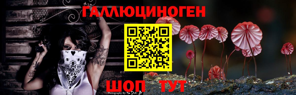 Псилоцибиновые грибы GOLDEN TEACHER  Вход с VPN  Севастополь  Галлюциногенные грибы прущие грибы 